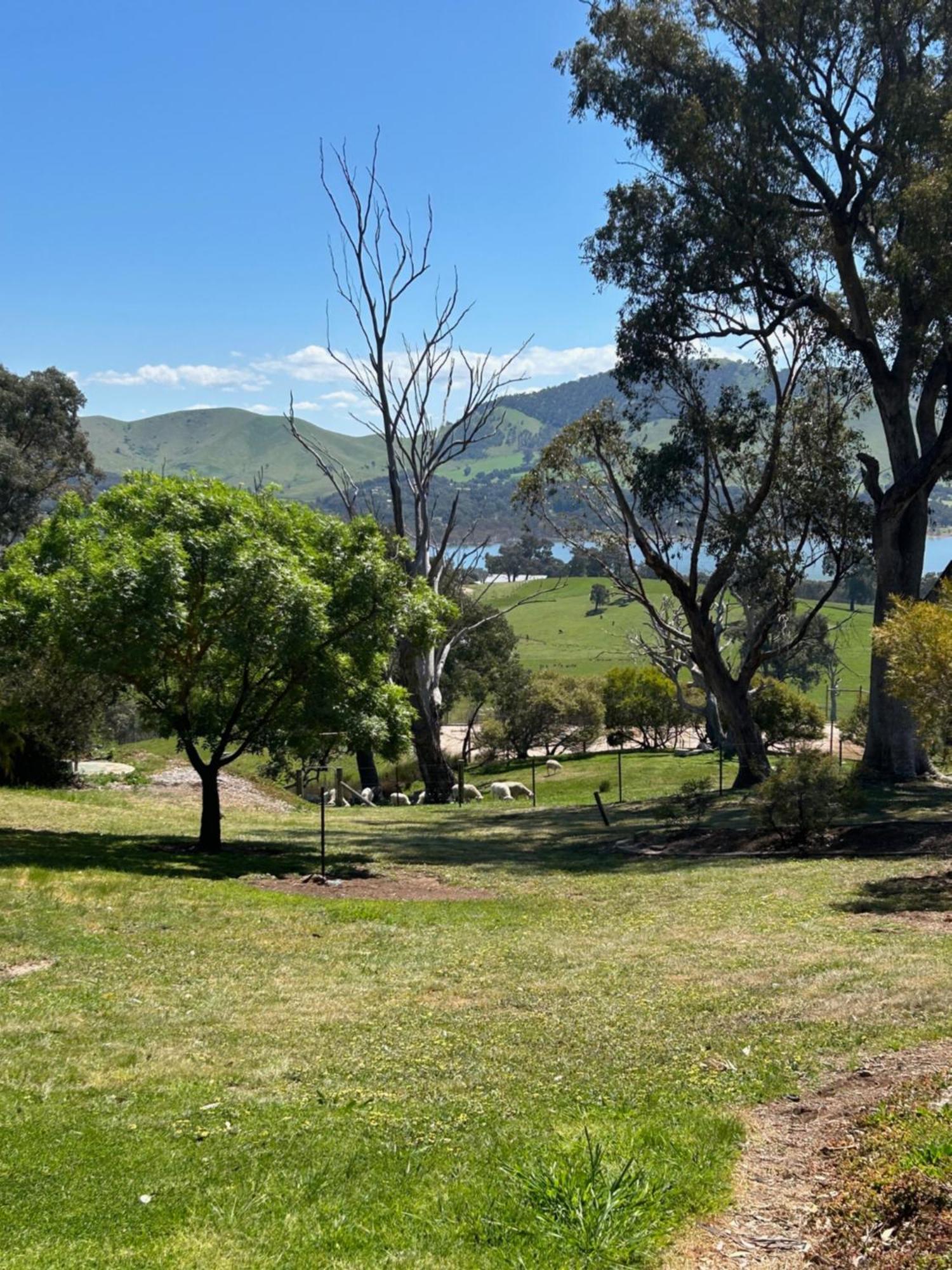 Burnt Creek Cottages Mansfield Luaran gambar