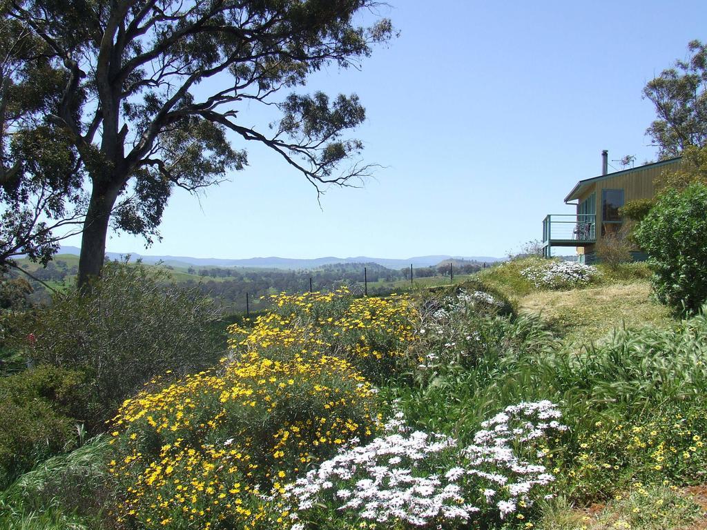 Burnt Creek Cottages Mansfield Luaran gambar