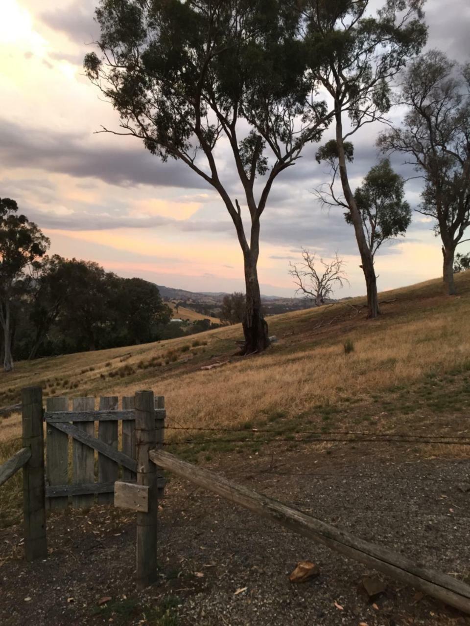 Burnt Creek Cottages Mansfield Luaran gambar